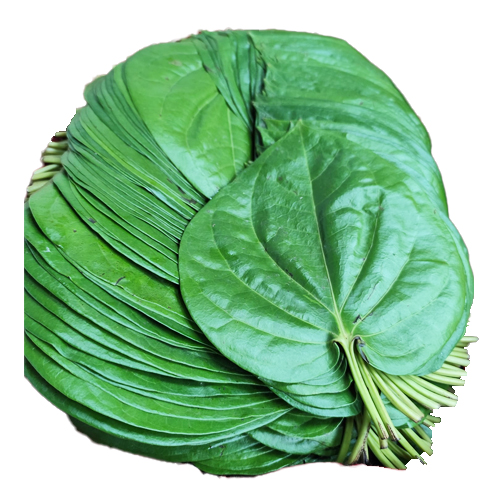 Pan Pata